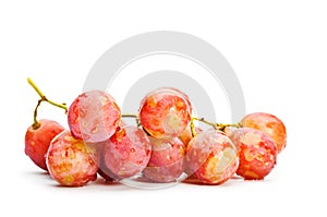 Bunch of red grape