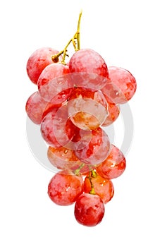 Bunch of red grape