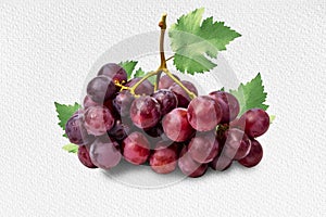 Bunch red grape with leaves  on white paper pattern. Full depth of field