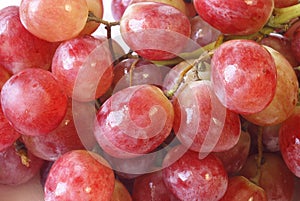 Bunch of red grapes