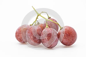 Bunch of red grapes , fresh with water drops. Isolated on white background
