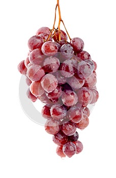 Bunch of red grapes