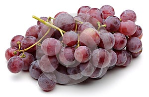 A bunch of red grapes photo