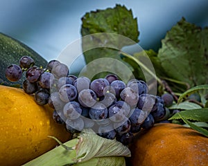 A bunch of red grapes, lying on top of ripe yellow squash.