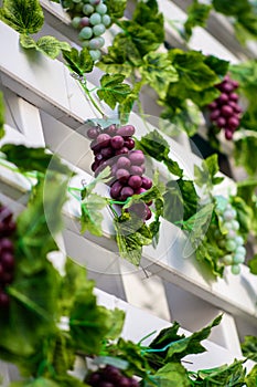 Bunch of red grapes on the vine with green leaves background