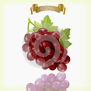 Bunch of red grapes with vine leaves isolated on white background. Realistic, fresh, natural food, dessert.