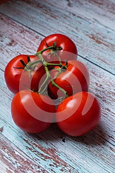 A bunch of red greenhouse tomatoes from Quebec