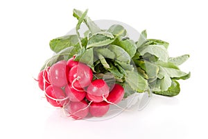 A bunch of red healthy radish