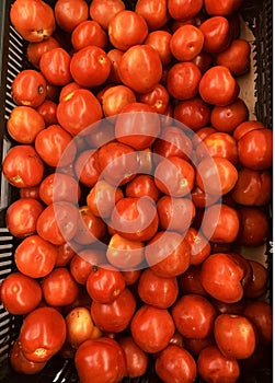 Bunch of red, juicy and ripe tomatoes for sale at a retail store in India