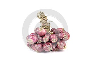 Bunch of red onion - shallots isolate on white background