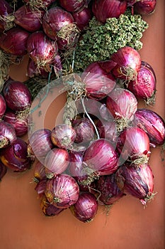 Bunch of red onions from Tropea,