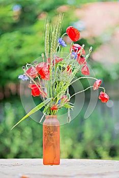 Bunch of of red poppies and cornflowers