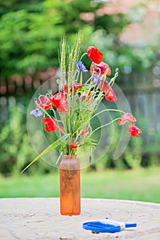 Bunch of of red poppies and cornflowers