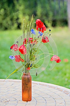 Bunch of of red poppies and cornflowers