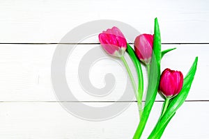 Bunch of red and purple tulips on white wooden background with copy space like postcard on womens day