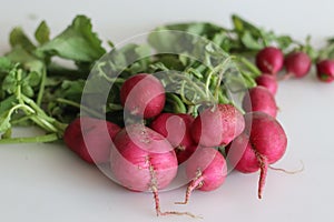 A bunch of Red radishes, also known as table radishes