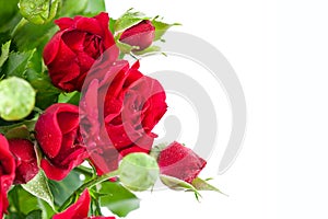 Bunch red roses greeting card