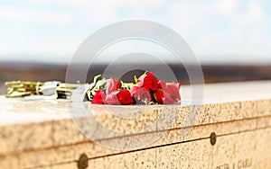 Bunch of red roses taped on stone wall at memorial of mausoleum, perspective view