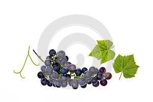 Bunch of red seedless grapes on white background
