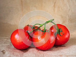A bunch of red tomatoes on a twig on a wooden background