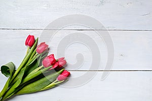 Bunch of red tulips on blue wooden table. Banner mockup card with copy space for congratulation, woman or mother day, easter, spri