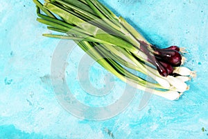 Bunch of red and white spring onions