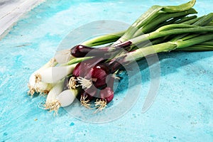 Bunch of red and white spring onions