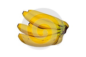 A bunch of ripe bananas on a white background only good for snacks