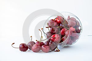 A bunch of ripe cherries closeup spills out of a glass goblet isolated on a white background