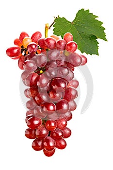 Bunch of ripe Crimson Seedless Grapes with green leaf isolated on white background