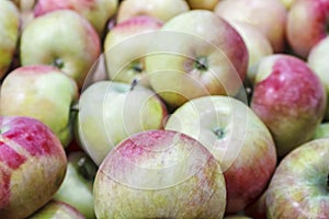 Bunch of apples in a box