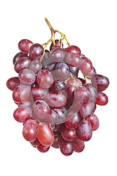 Bunch ripe, fresh red grapes.