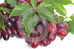 Bunch ripe, fresh red grapes with leaves.