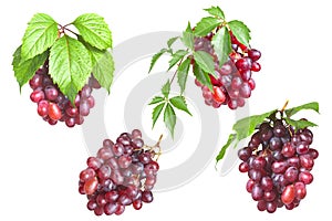 Bunch ripe, fresh red grapes with leaves.