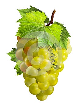 Bunch of ripe green grapes with green leaves isolated on background.