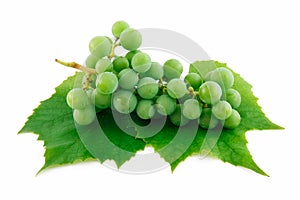 Bunch of Ripe Green Grapes with Leaf Isolated