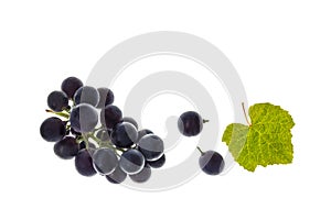 Bunch of ripe merlot grapes with leaf isolated on white background