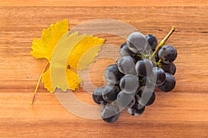 Bunch of ripe Merlot grapes with yellow leaf on wooden chopping board