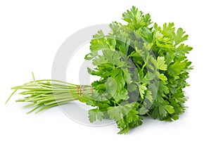 Bunch of ripe parsley isolated photo