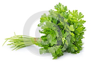 Bunch of ripe parsley isolated