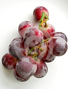 Bunch of ripe purple and red grapes isolated on white background