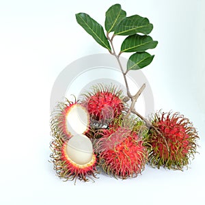 A bunch of ripe rambutan fruits with leaves isolated on white background.