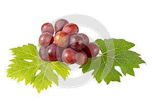 Bunch of ripe red pink grape green leaves closeup isolated on white