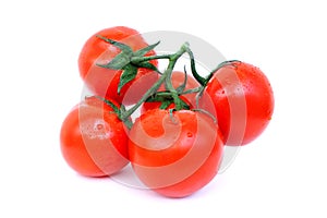 Bunch of ripe red tomato isolated on white background. Close up. Twig.