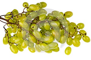 Bunch of ripe table grapes on white background isolated