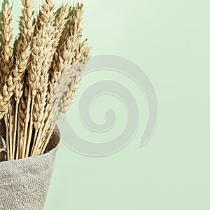 Bunch of ripe wheat ears close up on pastel green background and sack. Creative autumn harvest of grain crops