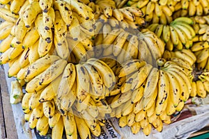 Bunch of Ripe Yellow Bananas