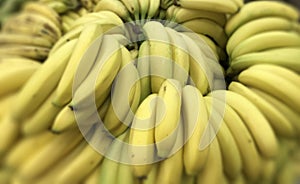 Bunch of Ripened Bananas. Photo image