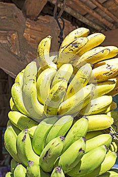 Bunch of ripened bananas