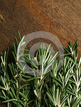 Bunch of rosemary over wood background